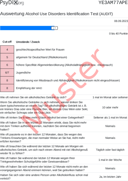 AUDIT-Auswertung PDF Bildschirmfoto