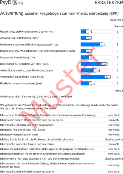 EFK-Auswertung PDF Bildschirmfoto