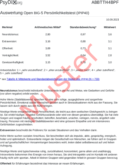 IPIP40-Auswertung PDF Bildschirmfoto