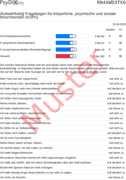 KÖPS-Auswertung PDF Bildschirmfoto