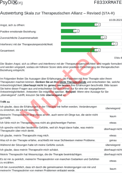 STA-R-Auswertung PDF Bildschirmfoto